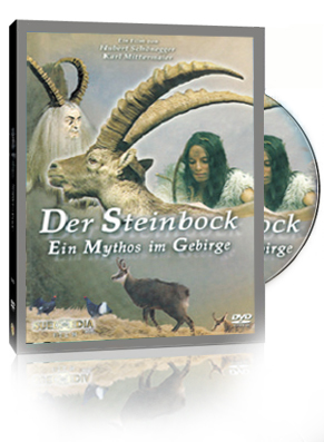 Der Steinbock